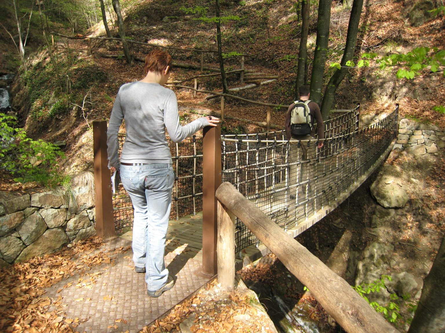 Eine Hängebrücke führt über ein Bächlein durch den Wald entlang des Höfeweges in Völs am Schlern - interessant auch für Kinder