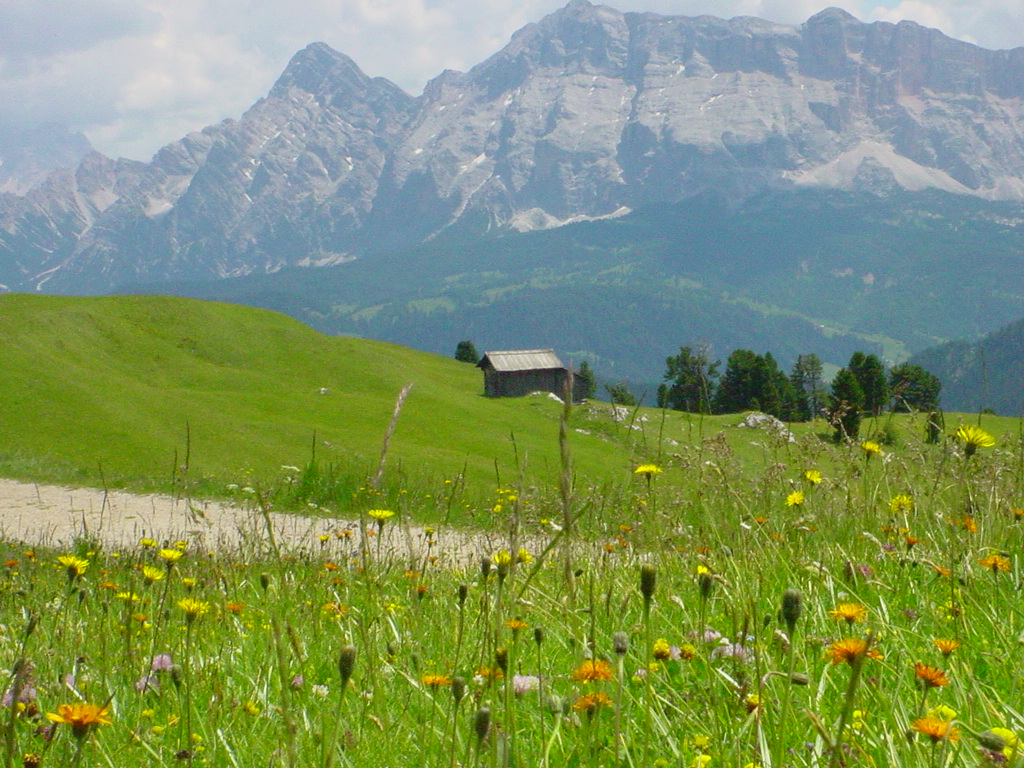 Sehenswerte Alwiesen in den Dolomiten - das Villnösstal