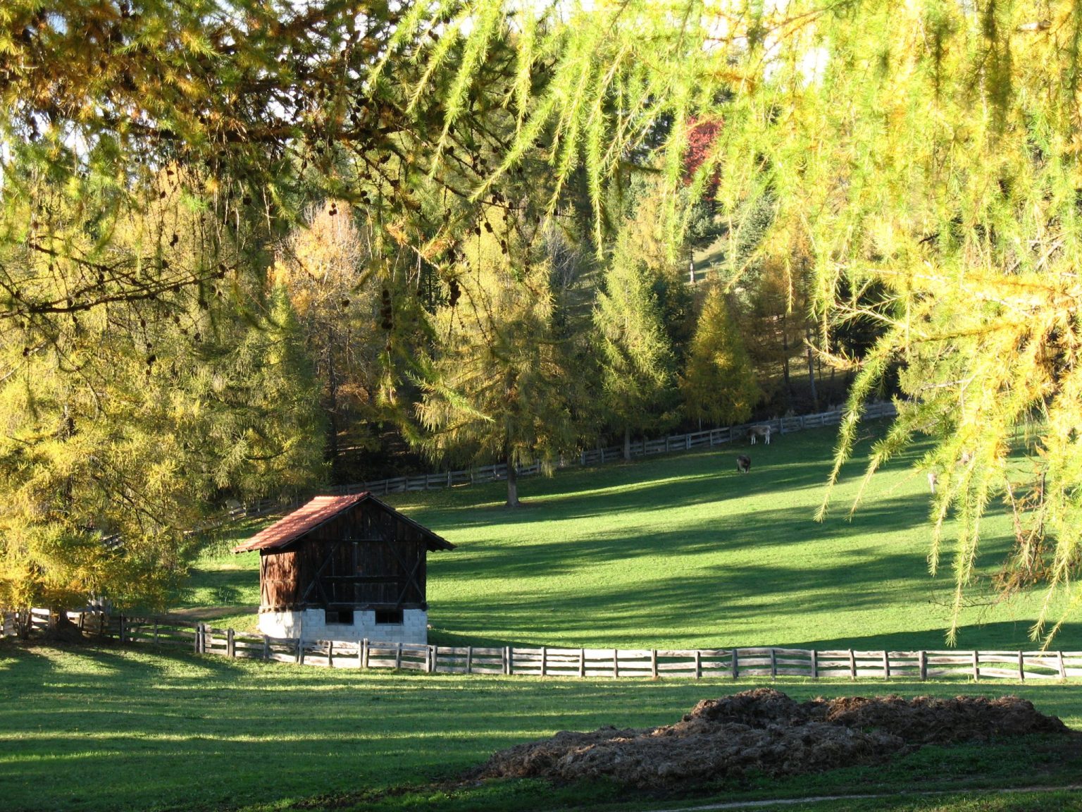 Einzigartige Idylle zwischen den Lärchenwiesen