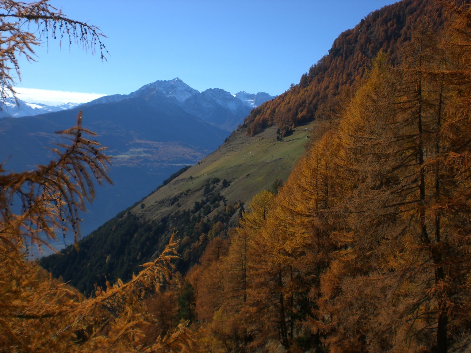Herbststimmung in Richtung Westen zur Ortlergruppe