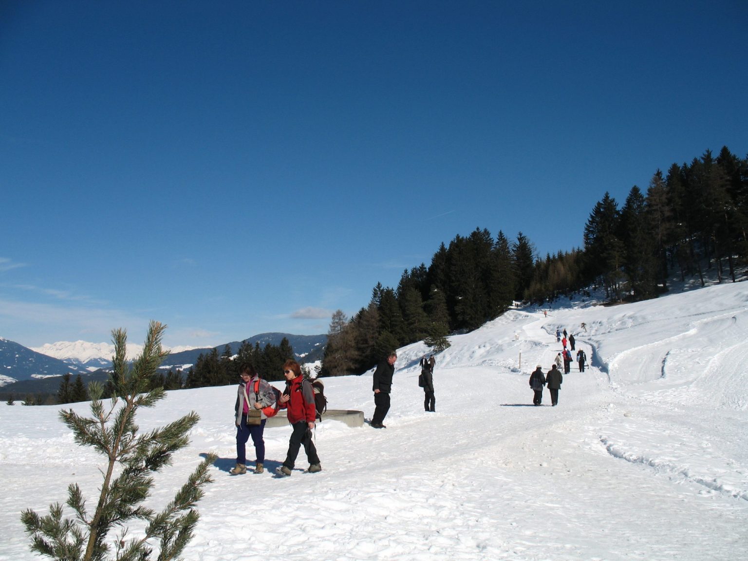 Der Weg auf die Tuffalm ist landschaftlich sehr reizend und unproblematisch