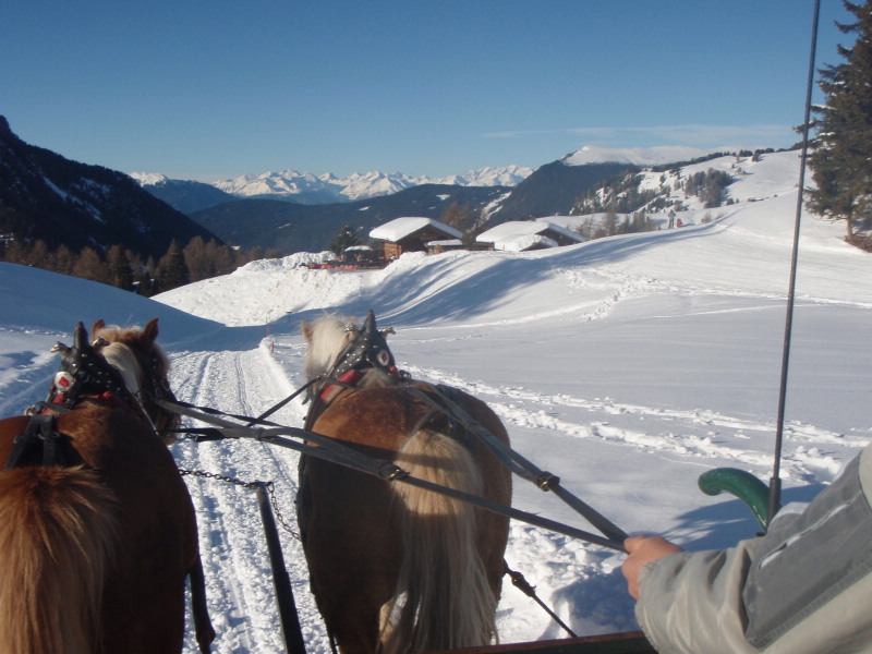 Pferdeschlittenfahrt auf der Seiser Alm