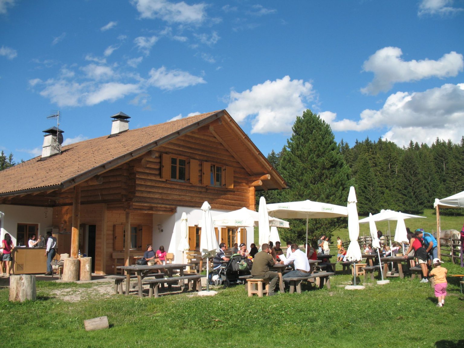 Die Petersbergerleger Alm