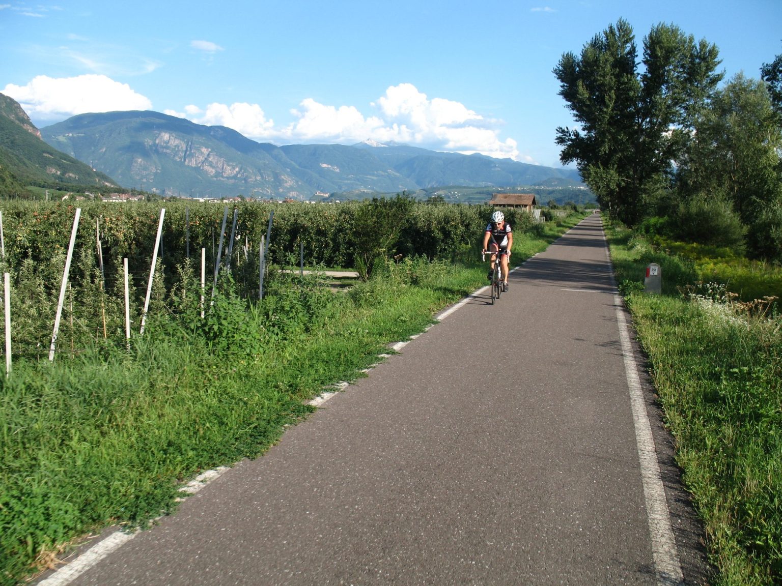 Der Radweg folgt dem Fluss Etsch und führt größtenteils durch das Obstanbaugebiets