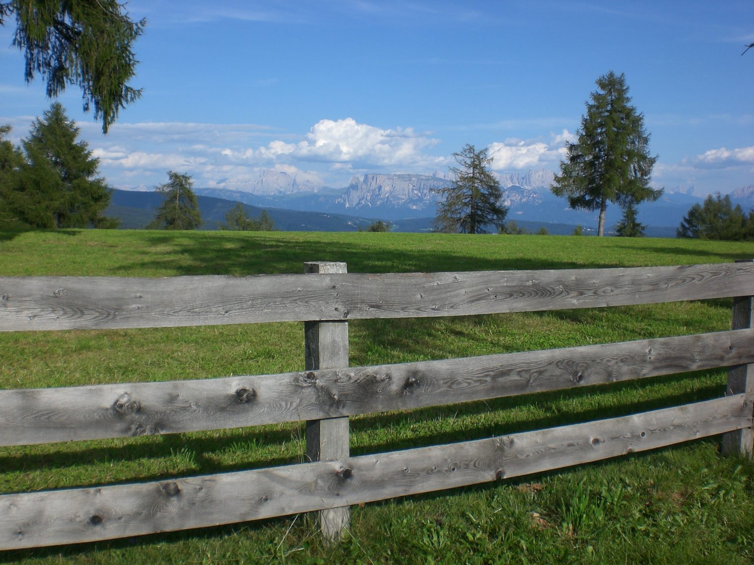 Almimpressionen mit Blick auf die Dolomiten