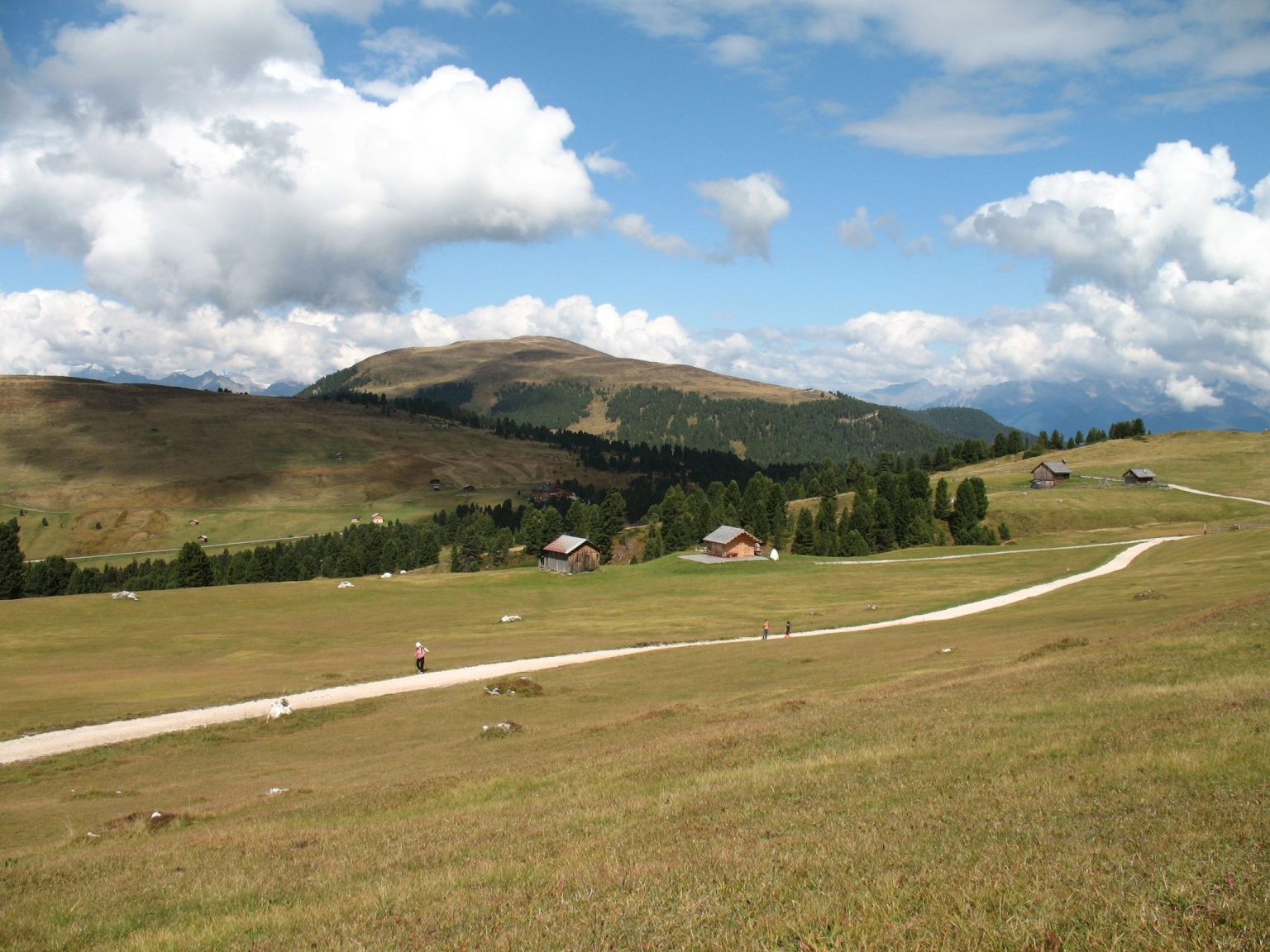 Herbstliche Almwiesen in Richtung Würzjoch