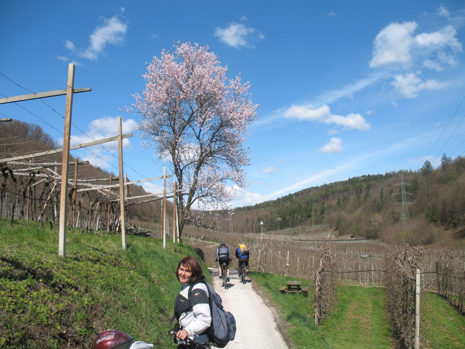 Der Radweg führt leicht abfallend durch das frühlingshafte Lavasontal zum Kalterer See