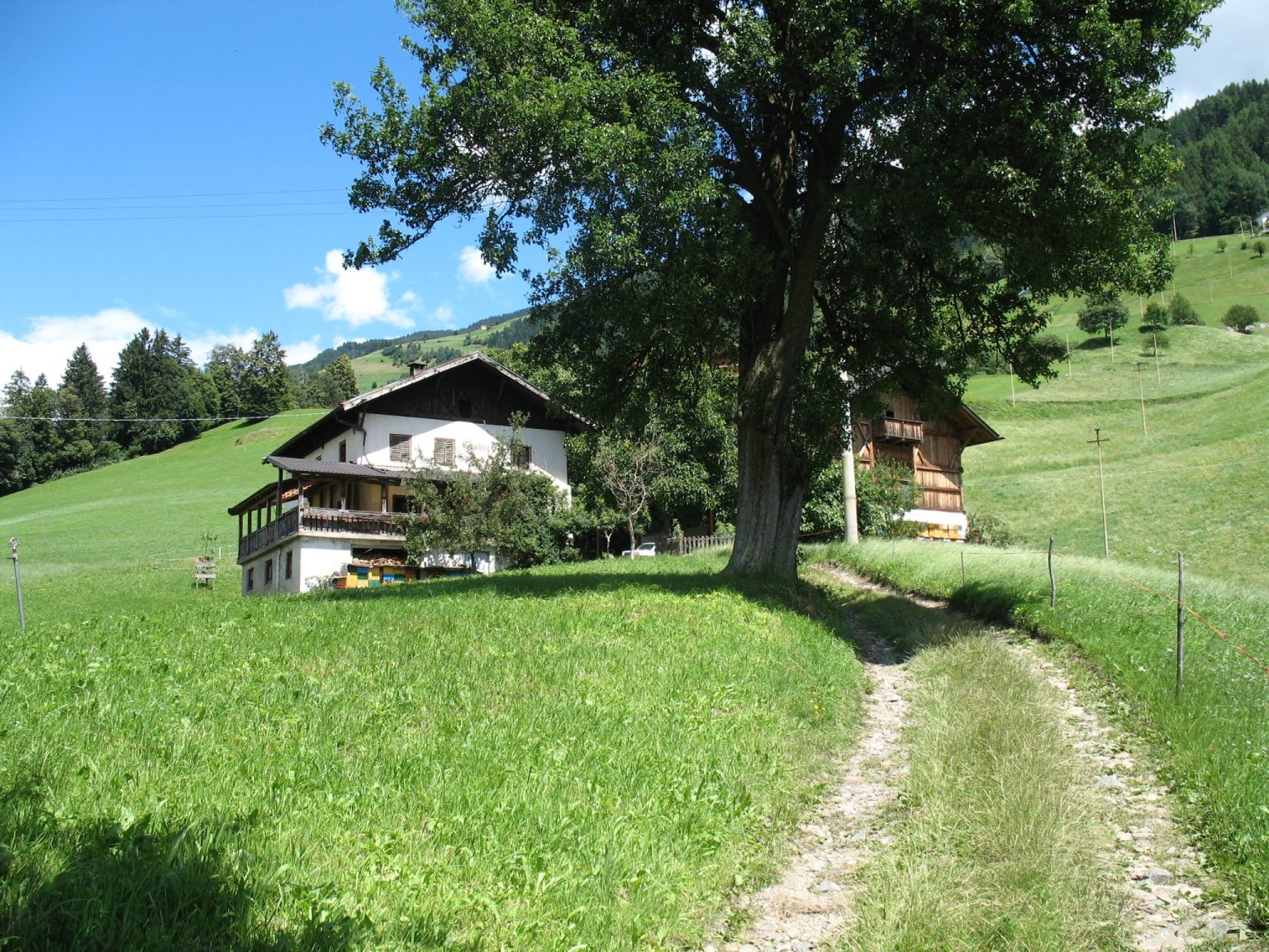 Der Weg führt vorbei an einsamen Höfen mit herrlichem Ausblick hinunter ins Tal