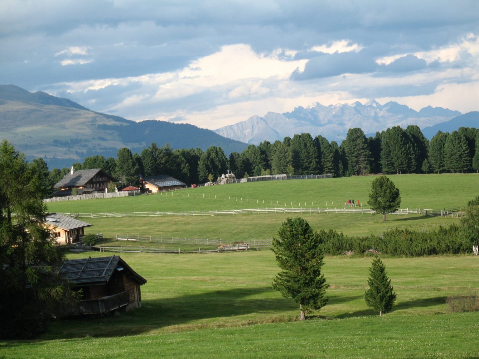 Blick auf eine der ersten Almwiesen der Villanderer Alm mit den Dolomiten im Hintergrund
