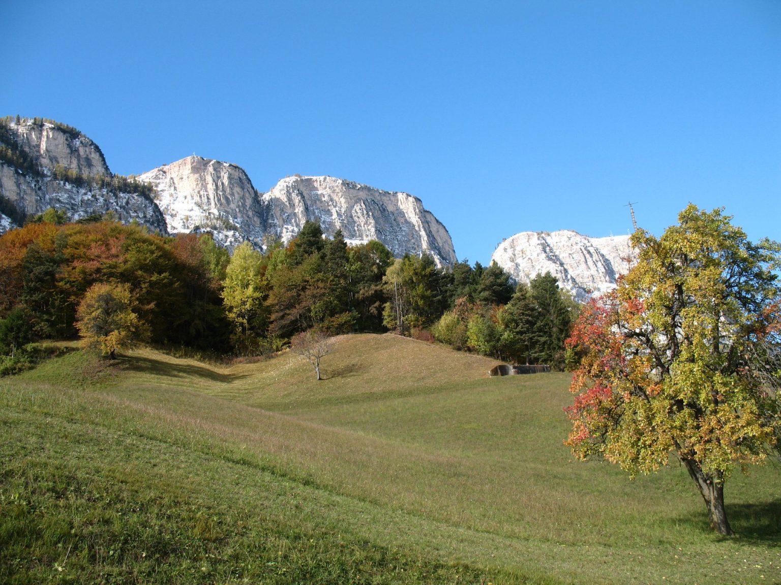 Blick auf die herbstlich gefärbten Wälder oberhalb von Eppan