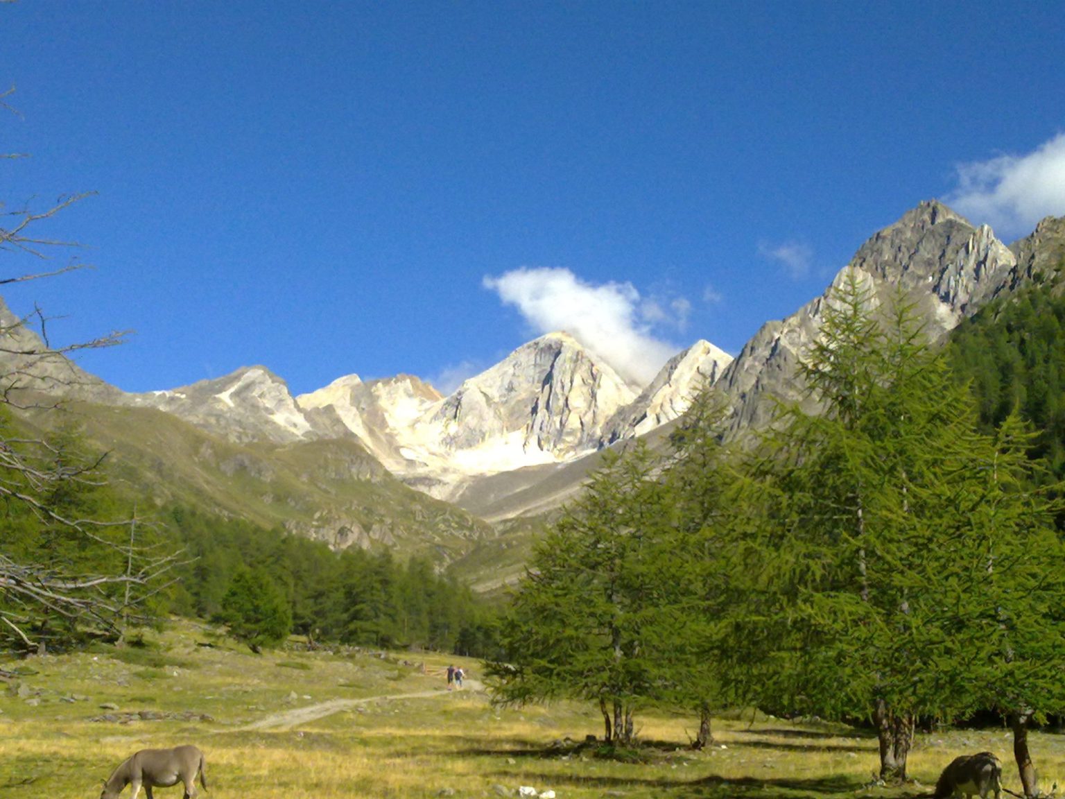 Blick von den Eishöfen in Richtung Hohe Wilde mit dem dahinterliegenden Passeiertal