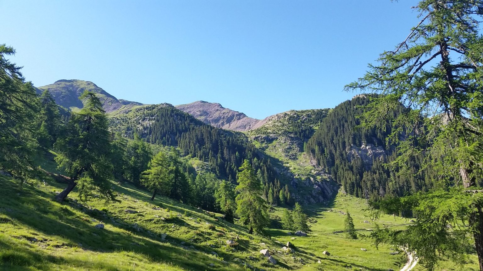 Blick von der Laugenalm zurück auf den Gipfel