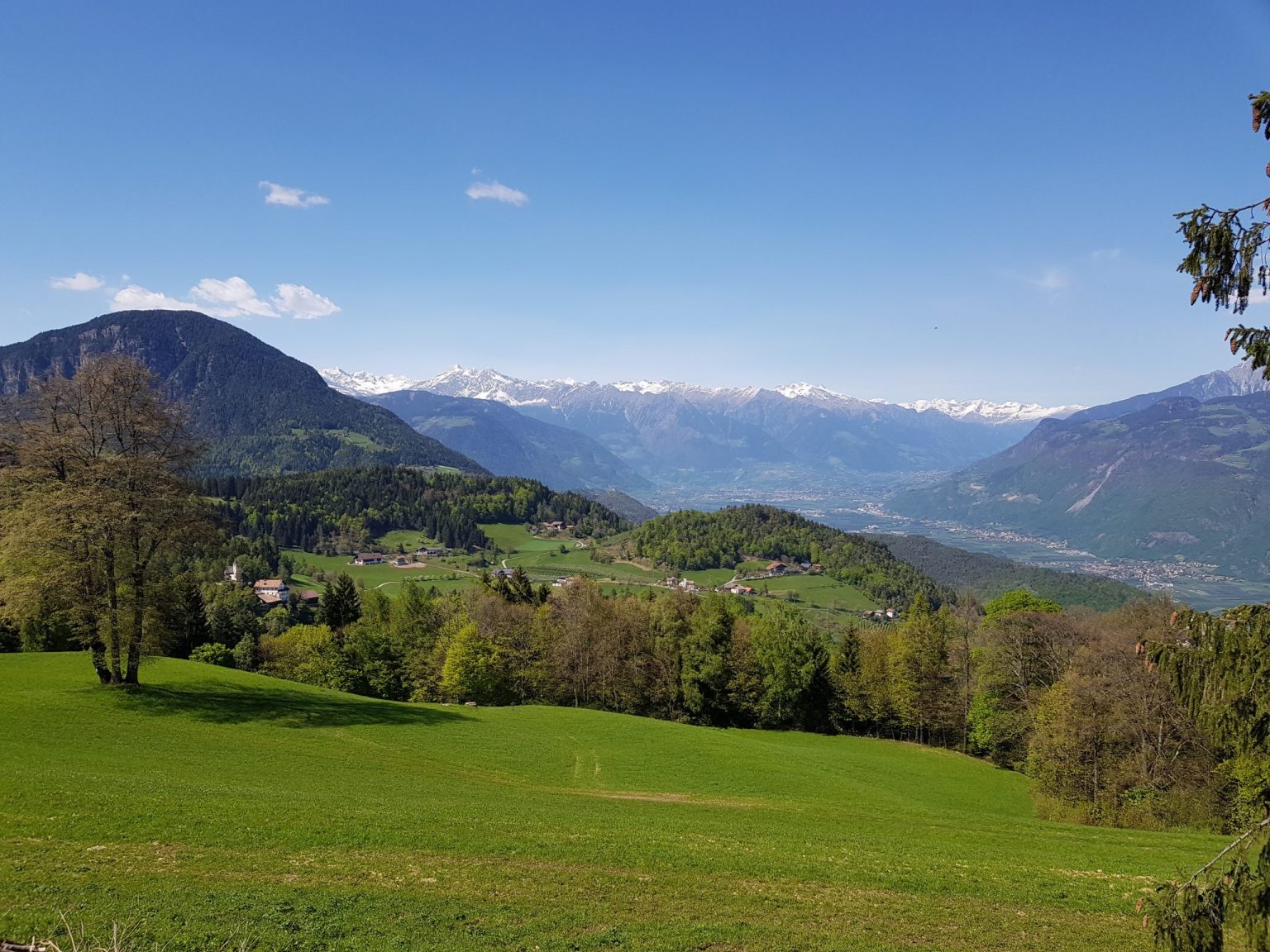 Blick von Sirmian Richtung Norden auf Meran und Umgebung